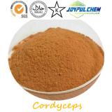 Cordyceps Extract（Polysaccharide）