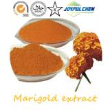 Lutein Marigold extract--Natural