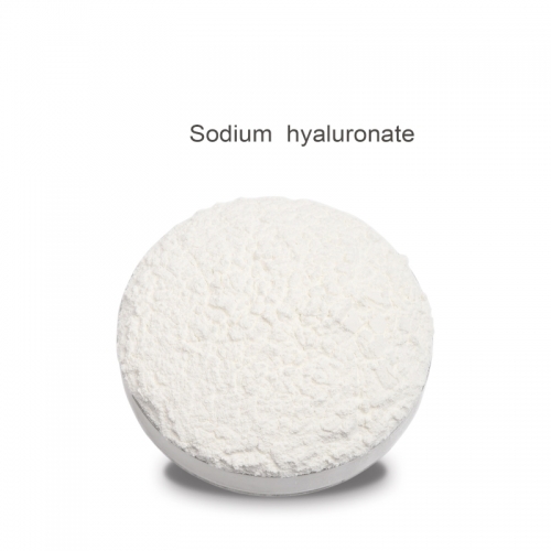 Sodium Hyaluronate (Hyaluronic Acid, HA)